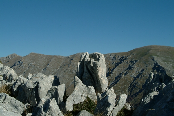 Sculture naturali